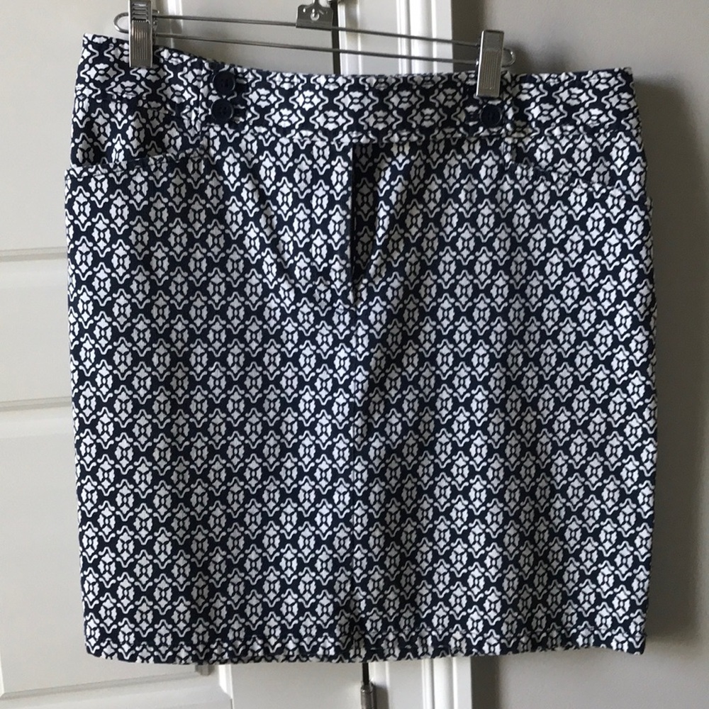 Ann Taylor skirt